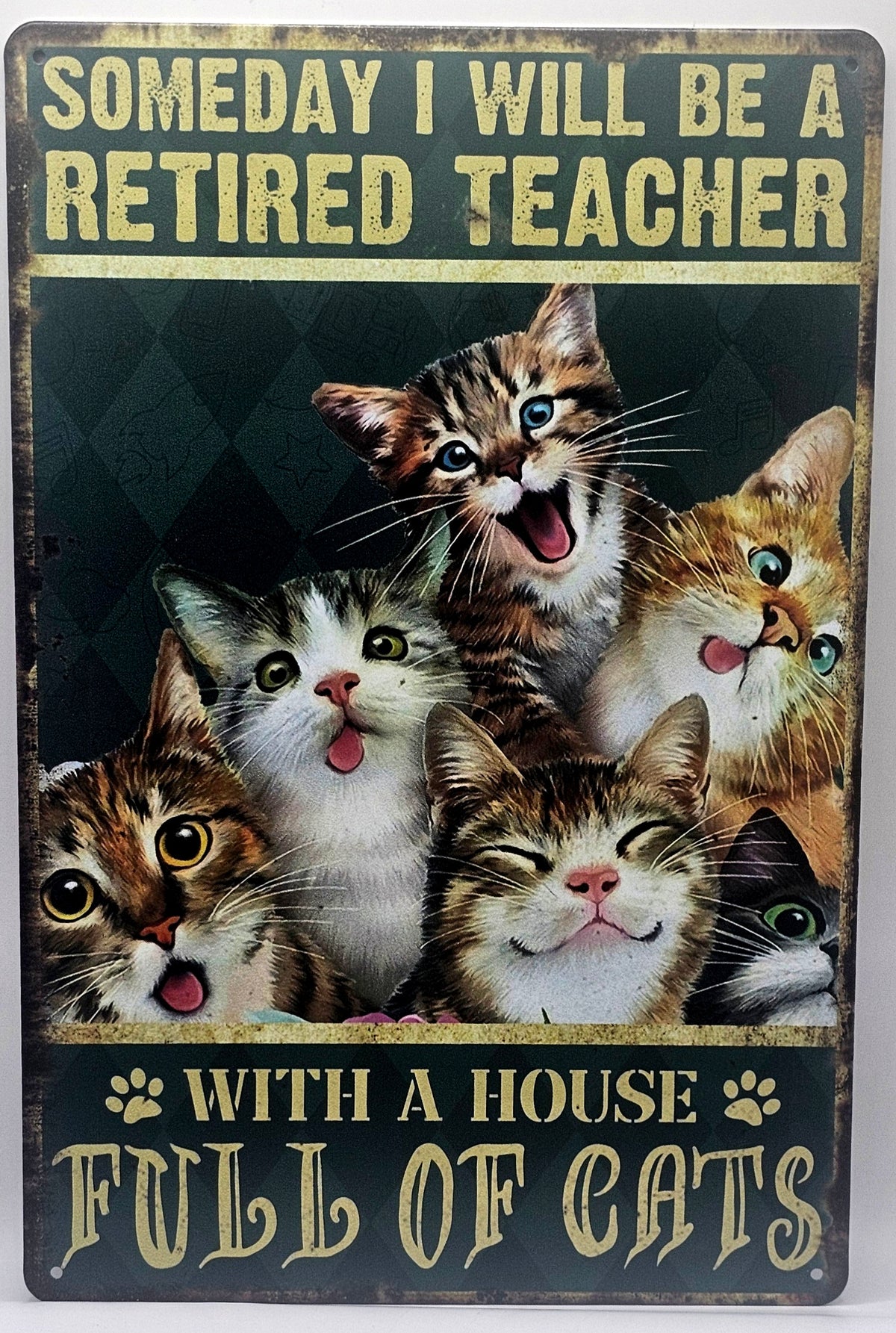 Someday I Will Be A Retired Teacher With A House Full Of Cats