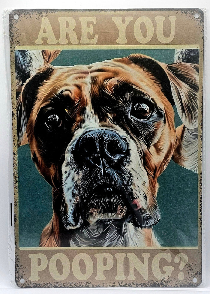 Are you Pooping? Boxer