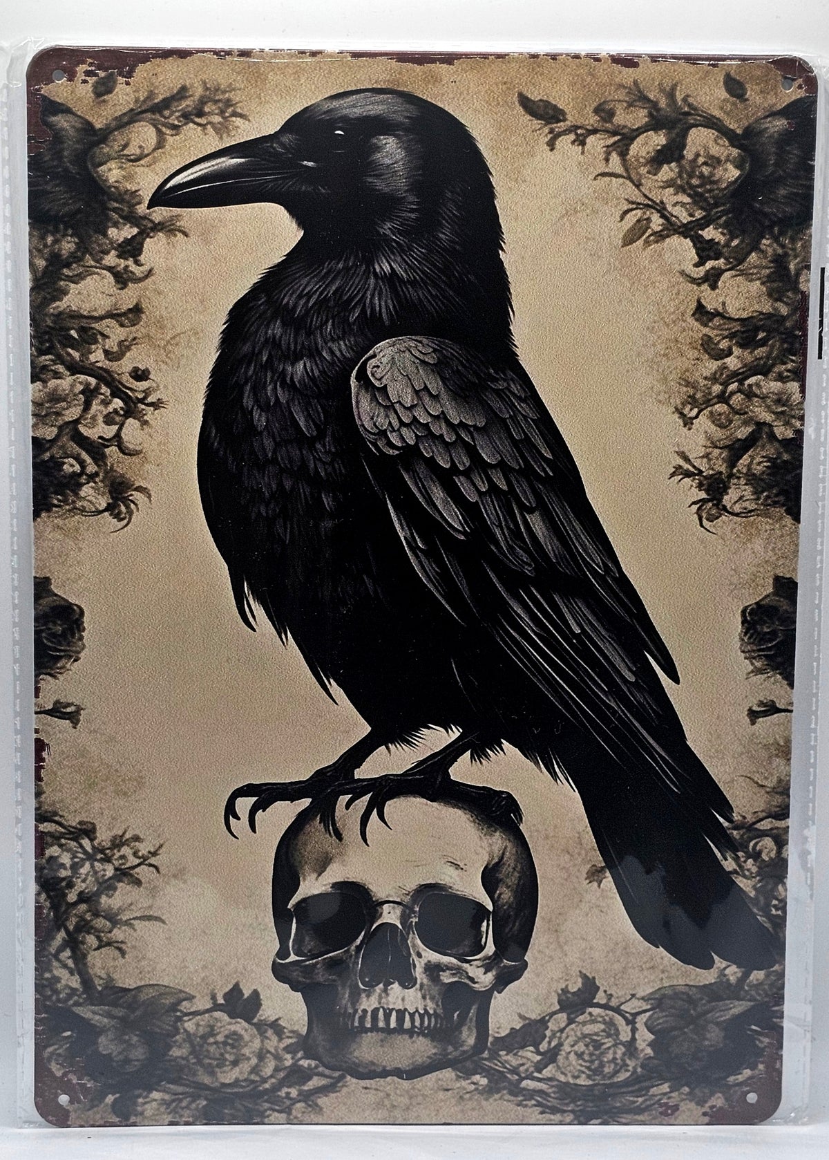 Crow With Skull