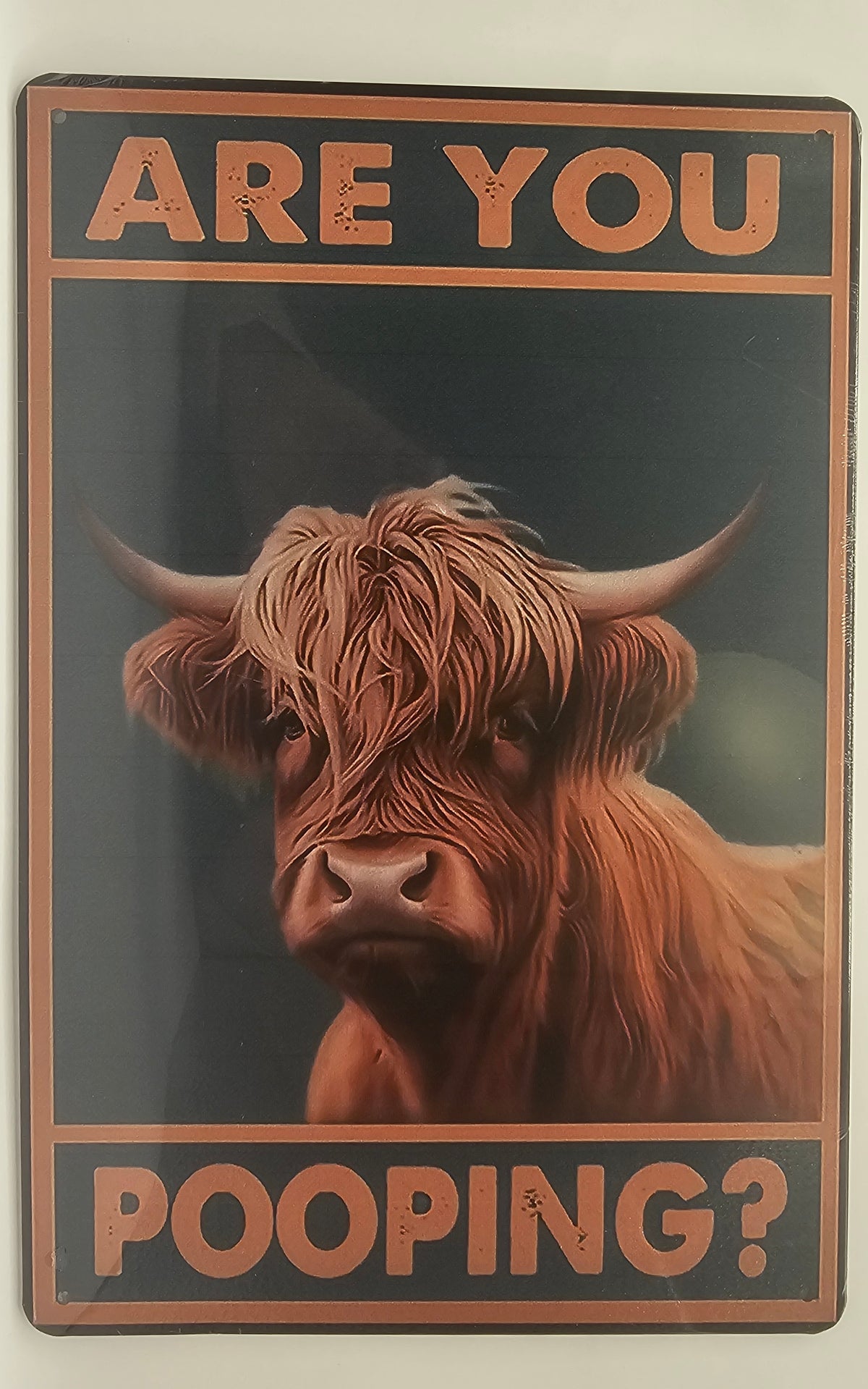 Are You Pooping? Highland Cow