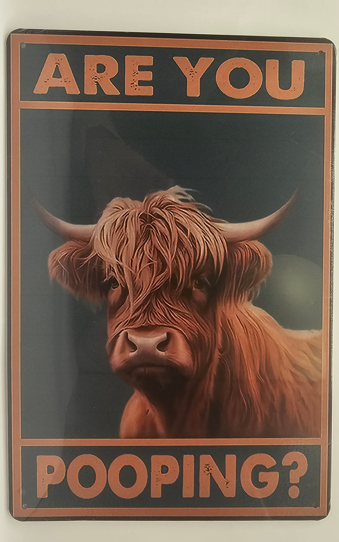 Are You Pooping? Highland Cow