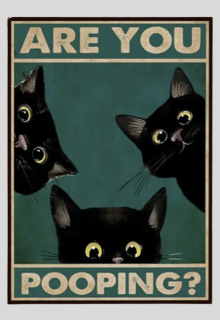 Are you Pooping? Black Cats