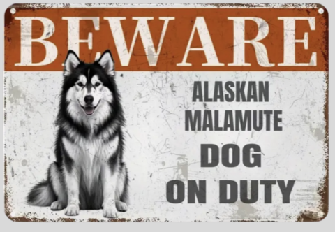 Beware Alaskan Malamute Dog on Duty