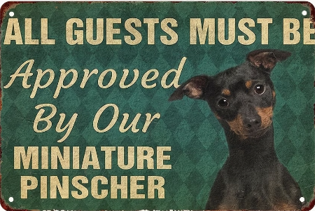 All Guests Must Be Approved By Our Miniature Pincher