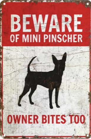 Beware of Mini Pincher Owner Bites Too