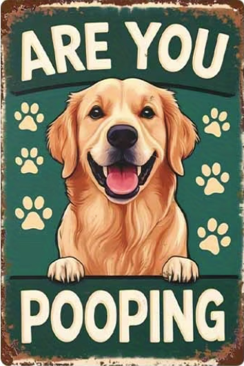 Are You Pooping Labrador