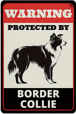 Warning Protected By Border Collie