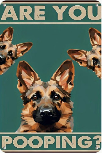 Are You Pooping? German Shepherd