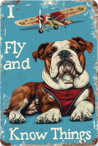 I Fly and I Know things