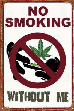 No Smoking Without Me