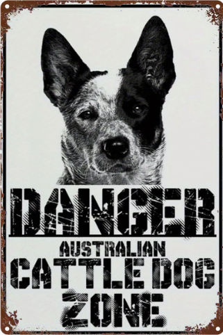 Danger Australian Cattle Dog Zone