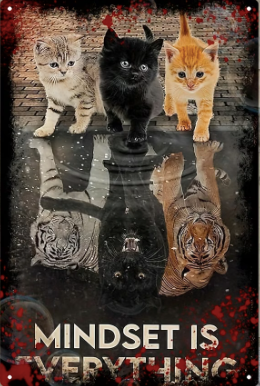 Mindset is Everything