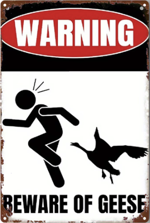 Warning Beware of Geese