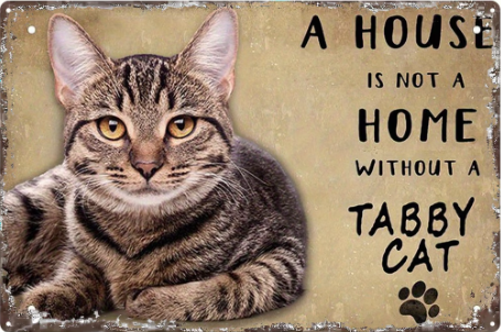 A house is not A home without a Tabby Cat