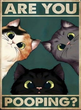 Are You Pooping? Three Cats