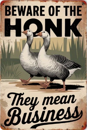 Beware Of The Honk They Mean Buisness