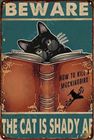 Beware Cat is Shady AF