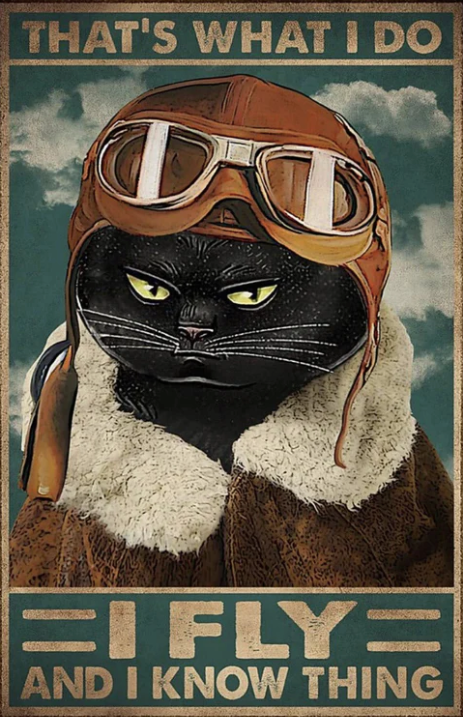 Thats What I Do - I Fly And I Know Things