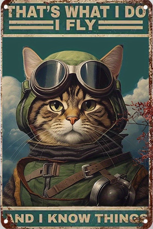 Thats What I Do I Fly And I Know Things