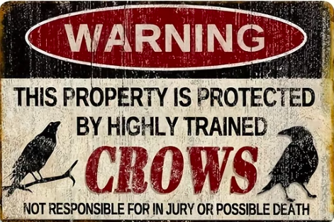 Warning Property is Protected by Highly Trained Crows