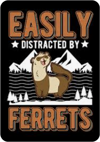Easily Distracted By Ferrets