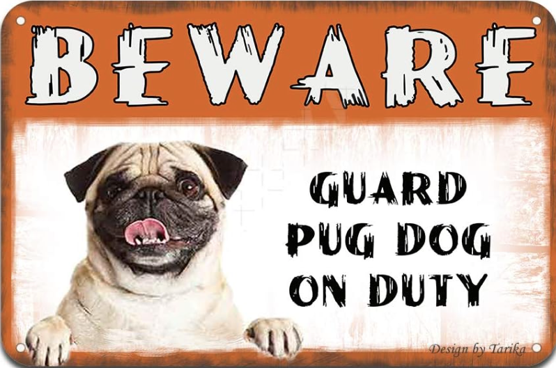 BEWARE Guard Pug on Duty