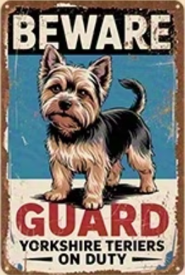 Beware Guard Yorkshire Terriers On Duty