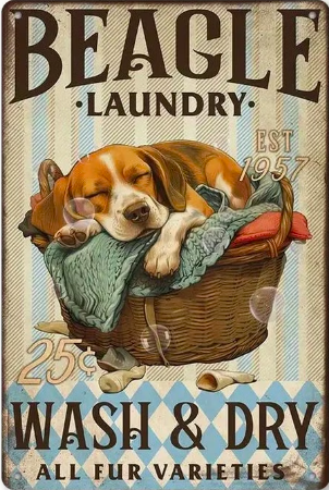 Beagle Laundry Wash and Dry
