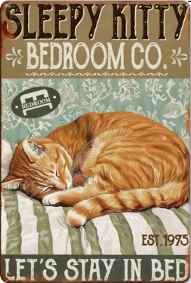 Sleepy kitty Bedroom Co Lets stay in bed