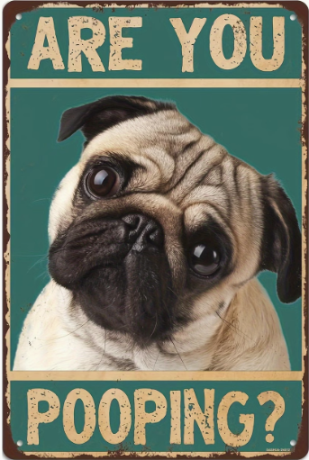 Are You Pooping? (Pug)