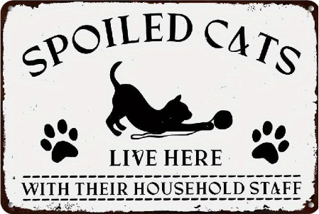 Spoiled Cats Live Here With Their Household Staff