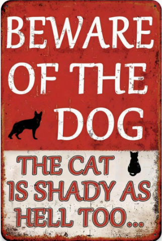 Beware Of The Dog, The Cat Is Shady As Hell Too