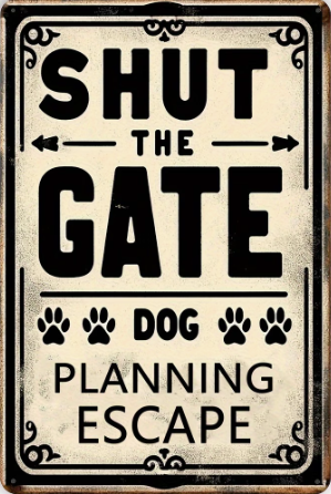 Shut The Gate, Dog Planning Escape