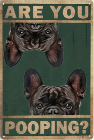 Are You Pooping? (French Bulldog)