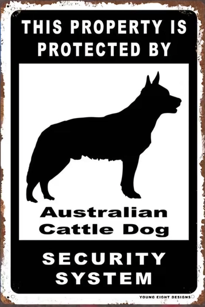 Australian Cattle Dog Security System Metal Sign